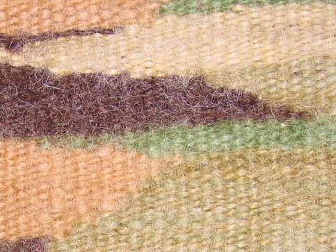 Detail of Dream Tiger