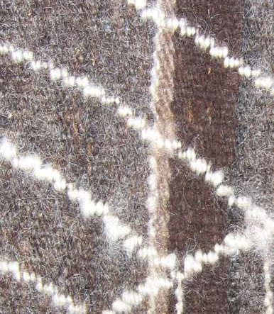 Detail of Ferns