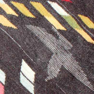 Detail of Night Hawk