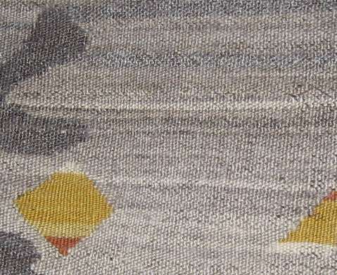 Detail of Salix