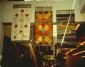 World Congress on Coloured Wools, OR